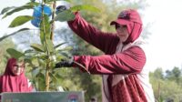 Illiza dan Delegasi Apeksi Menanam Pohon di Hutan Kota Tibang
