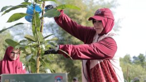 Illiza dan Delegasi Apeksi Menanam Pohon di Hutan Kota Tibang